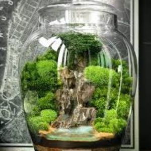 Meet your Posher, Monica